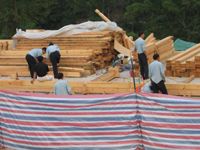 Dľľ݈DƬ cɷŴ