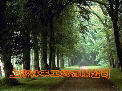 DI(y)(bio)־ c(din)ɷŴ