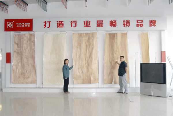 D?jin)ΰչd c(din)ɷŴ