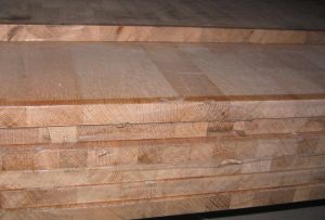 DSR-100ӹļɲ c(din)ɷŴ