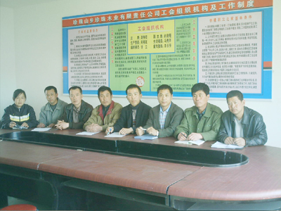 D˾I(lng)(do)ӳɆT c(din)ɷŴ