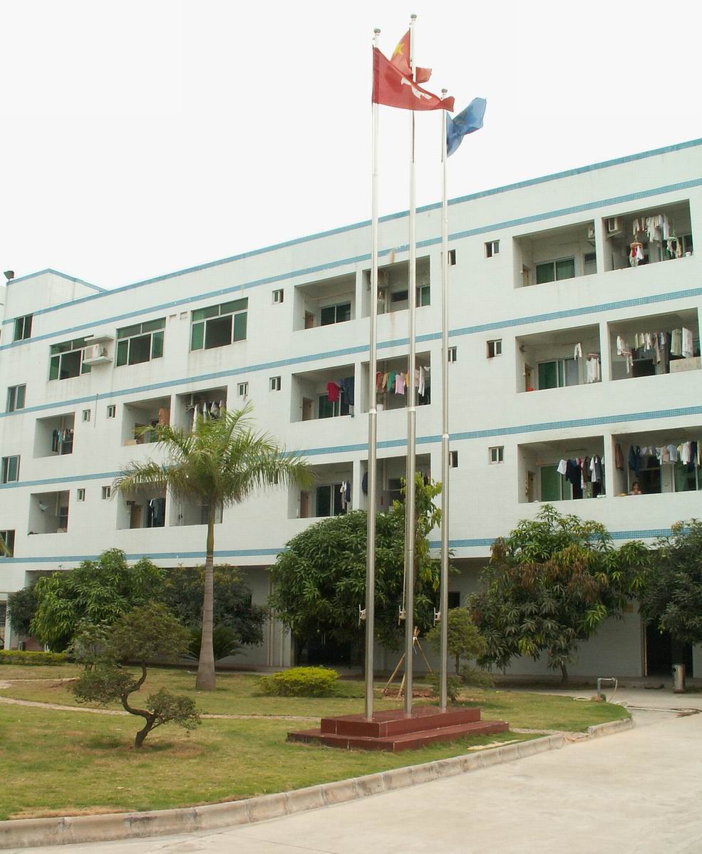 Dِ_(d)˾SDƬ c(din)ɷŴ