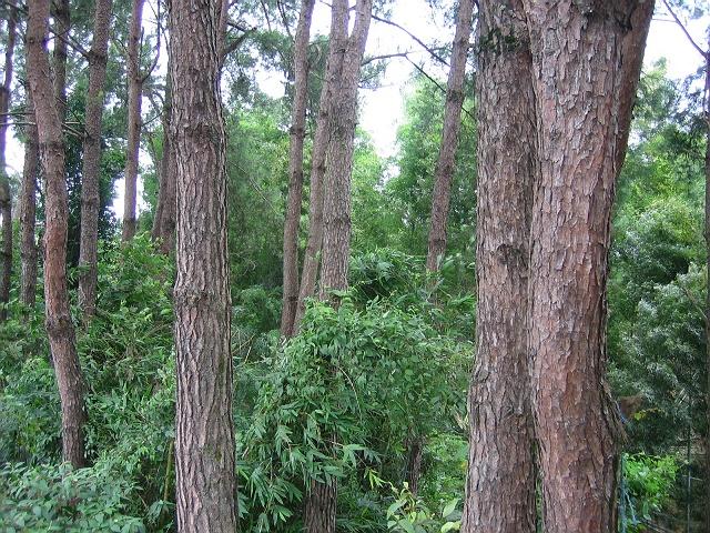 Dľza(chn)YԴ c(din)ɷŴ