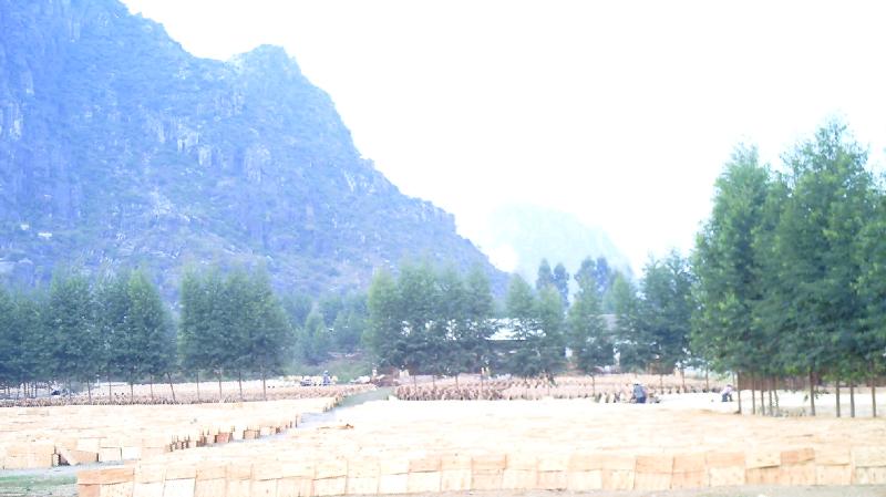 DF^(q)_(d)аS c(din)ɷŴ