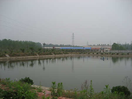 D˾h(hun) c(din)ɷŴ