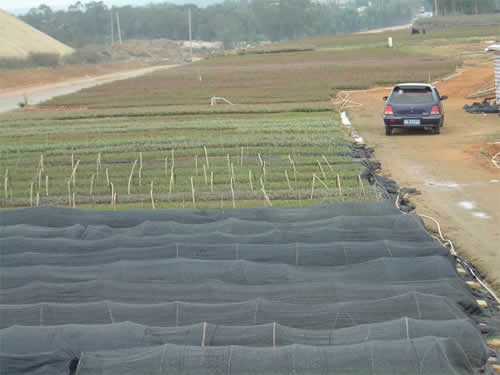 D(chng)һ c(din)ɷŴ