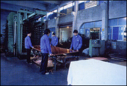 Da(chn)O(sh) c(din)ɷŴ