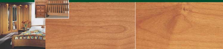 ()ľAlderҾߣ