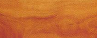 ˼ľ Walnut)Ԕ(x)B