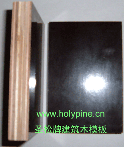 ʥƽģ,ְ,Ĥzϰ,ĤģԔ(x)B