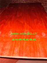 ʥƽģ,ľģ,A,zϰԔ(x)B