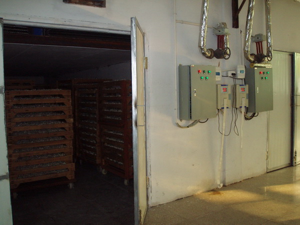 ʳƷɣᚢԄ(dng)ӛϵy(tng)Ԕ(x)B