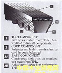 MǎVECTORPOWERǎXǎ