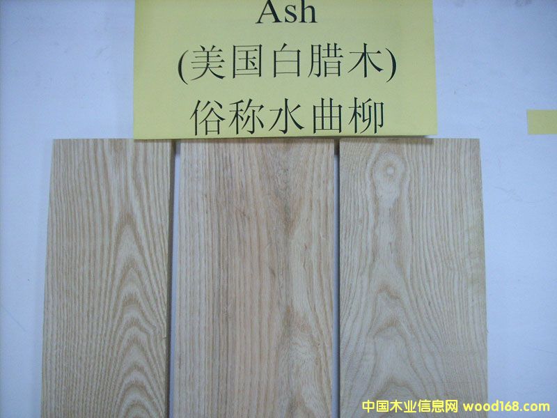FSCˮϞ?zi)ASH