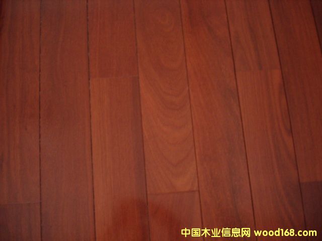 ľذa(b)ā?zhn)?><br>
                    <font size=2>ľذa(b)ā?zhn)?/font></a></div>
                </td>
              </tr>
               
            </table>
              
            </td>
          </tr>
          <tbody> </tbody> 
        </table>
        
        
        
      </td>
      <td bgcolor=#bcbcbc width=1></td>
      <td bgcolor=#fbfbfb valign=top width=310 align=middle> 
        <a href=