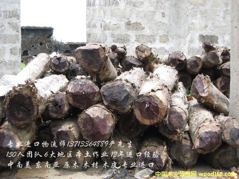 MS̴/t̴/G̴MľɽڈP