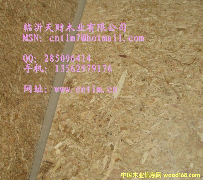 ٻ (lin)ϵRؔľI(y)13562979176ԔB