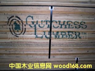 ľ WHITE OAK Ԕ(x)B