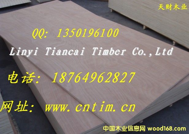 h(hun)Ҿ߰18764962827