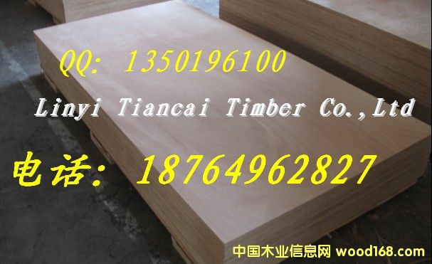 ȫľʽҾߌzϰ壨CARB