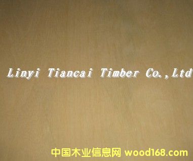 (yu)|(zh)(x)ľ18764962827