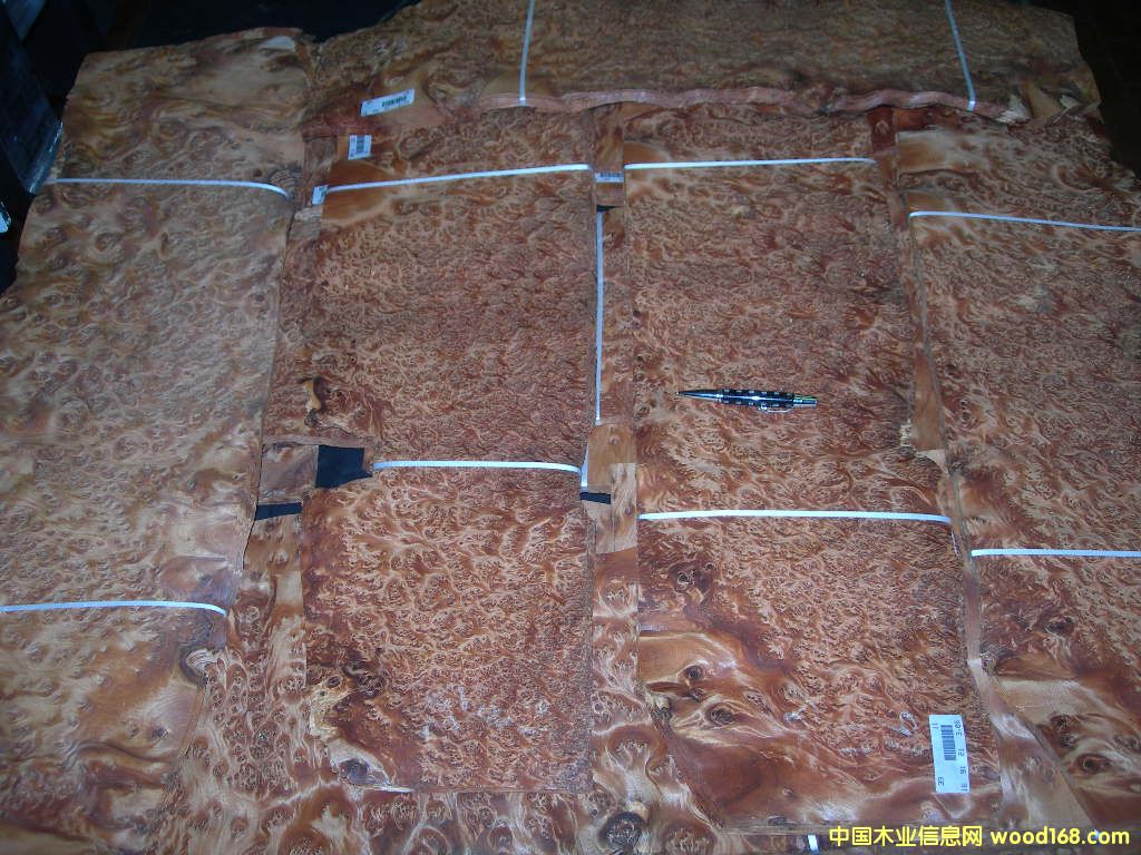 THUYA BURL