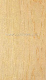 Hard Maple(ӲǗľԔ(x)B