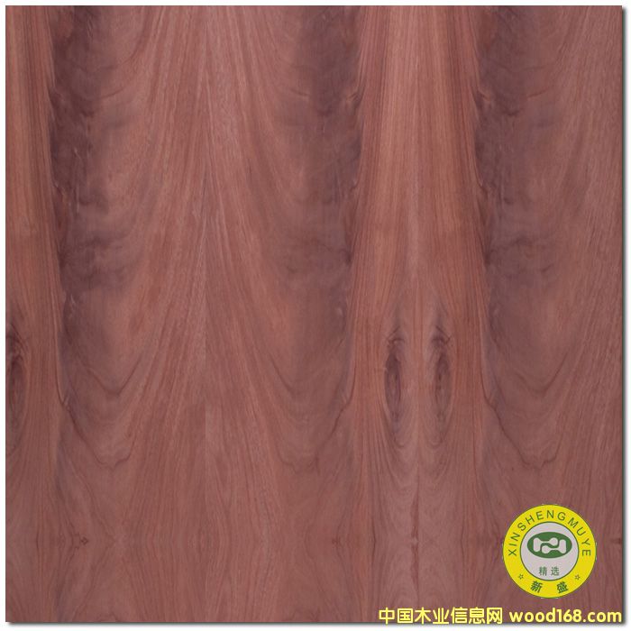 [] VʢȻһоԭľľƤ-N