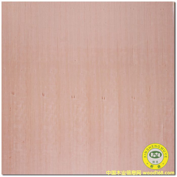 [] VʢȻľӰֱyԭľľƤ-N