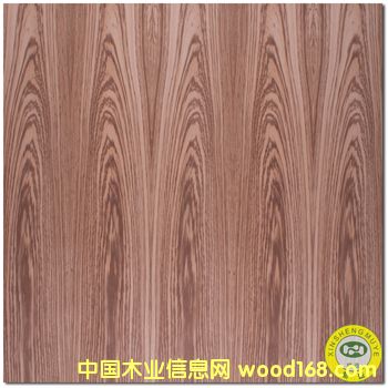 [] VʢȻRɽyԭľľƤɽy-N