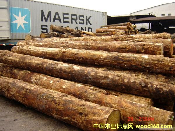 ֦ľWMڈP(gun)zȫ״