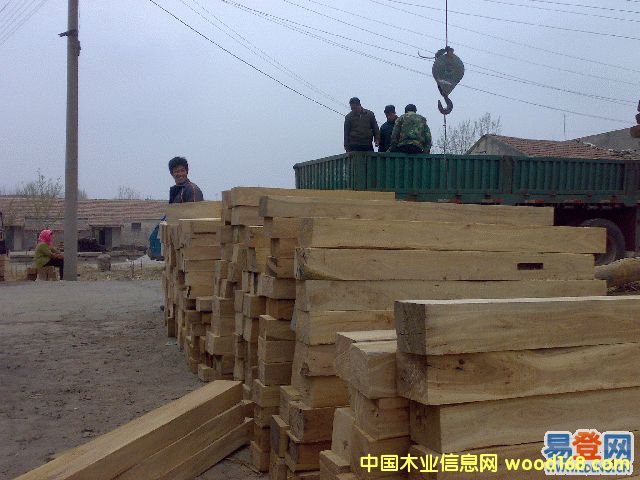 老榆木的詳細(xì)介紹