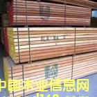 [] (yng)ľľľľƷ