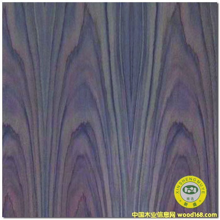 Vʢ-Ȼ̴ɽyԭľľƤN