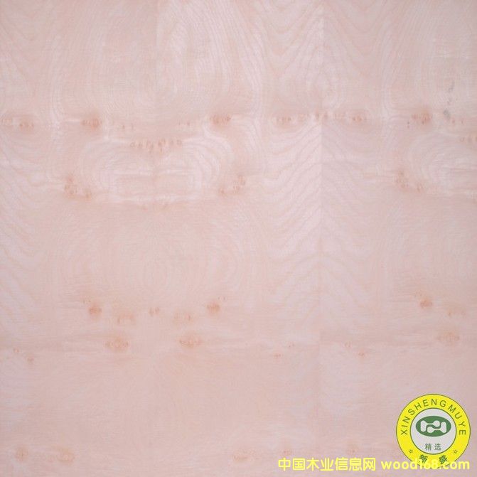 [] Vʢ-ȻľyԭľľƤ