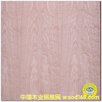 [] VʢȻľ/ˮyԭľľƤ-N