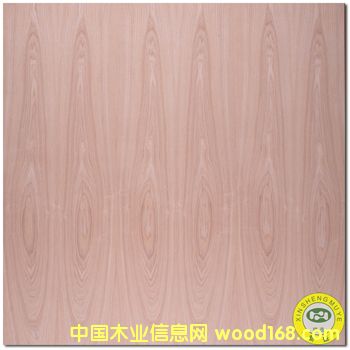 [] VʢȻɽyľ/ˮԭľľƤ-N