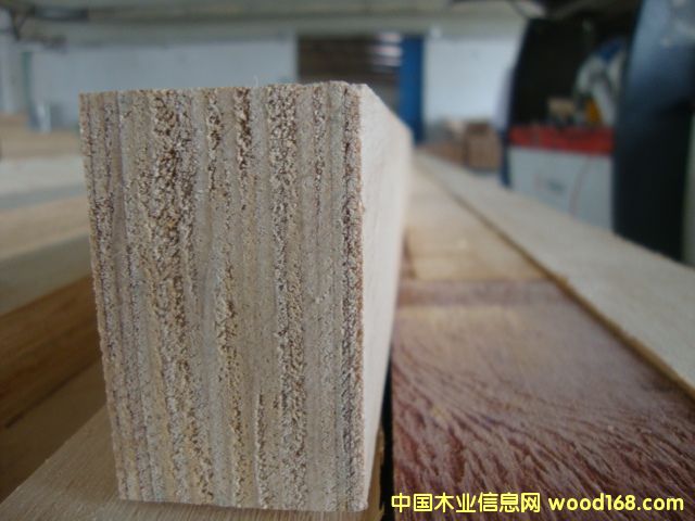 [] (yng)ľLVLΰӷeӰľڶN;