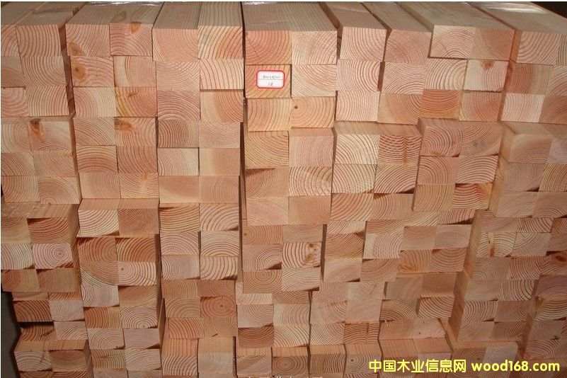 [] ɹŵ̼yľ|̼̼yľ|(yu)|(zh)ɿ̼yľ(bo)r(ji)