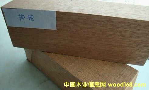 [] ӡtľ|t⾰^ƽ_|ľ̼ľ|