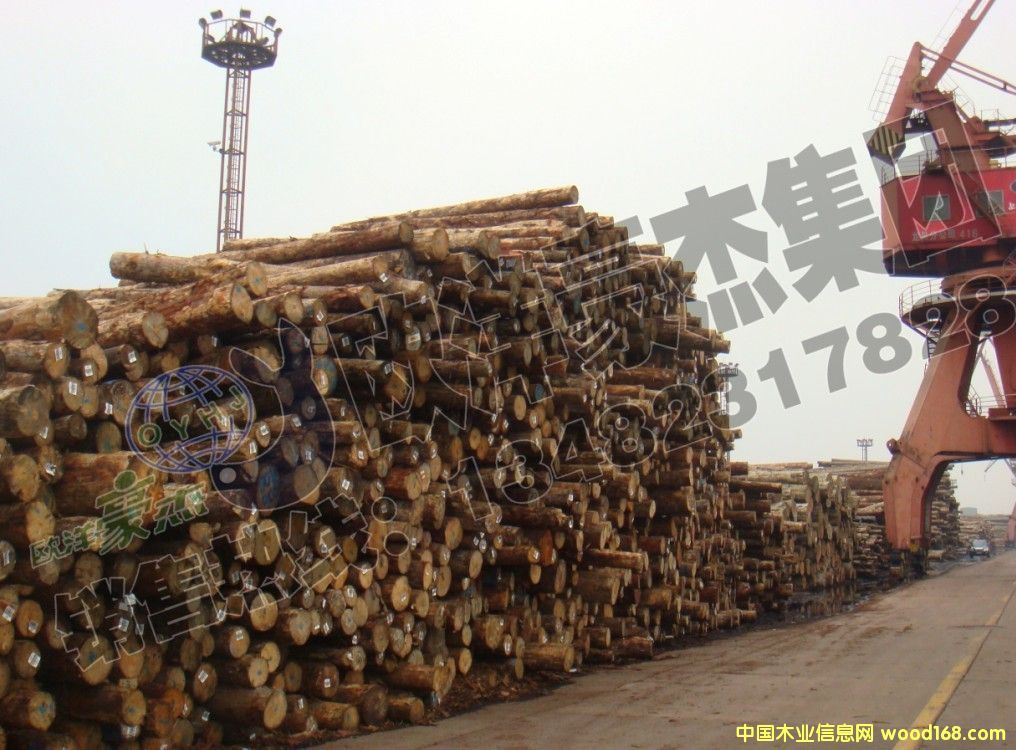 [] ~ԭľ ڏ10-50 F(xin)؛ ݗɰ