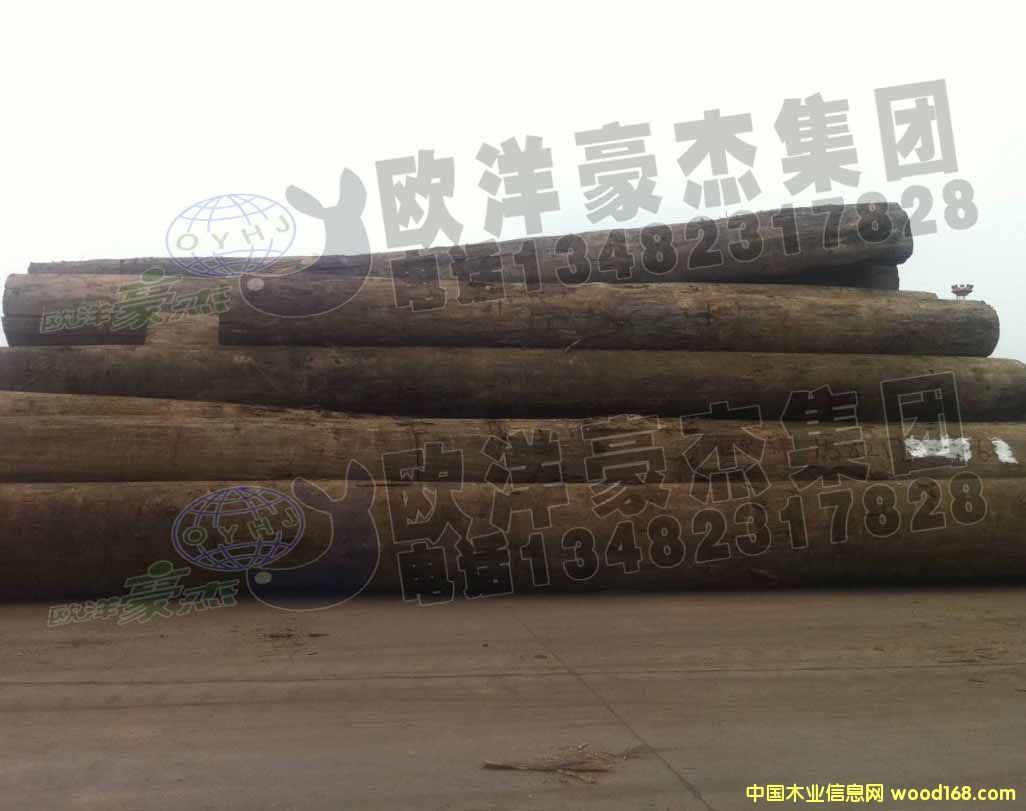 [] ~ԭľ ڏ10-50 F(xin)؛ ݗɰ