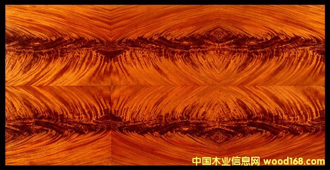 һо(sh)辵Ԕ(x)B