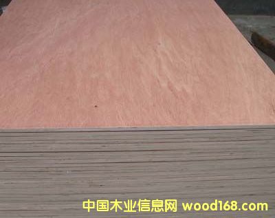 E1zһоҾ߰壬ͨzӰ