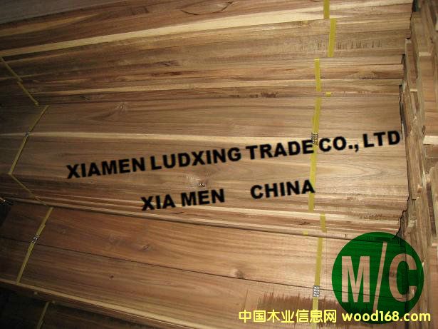 ˼ľذ~˼ľacacia