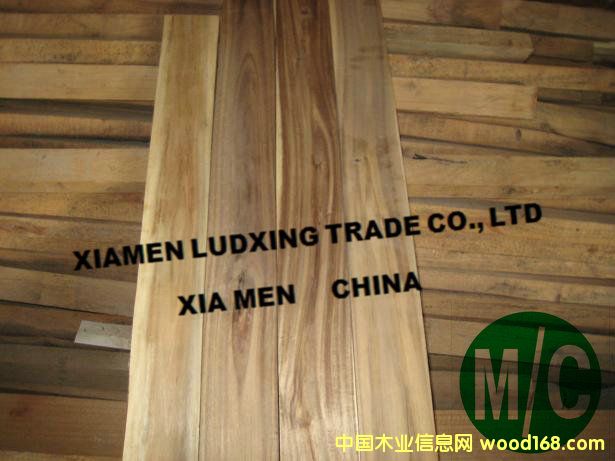 ˼ľ˼ľذacacia5