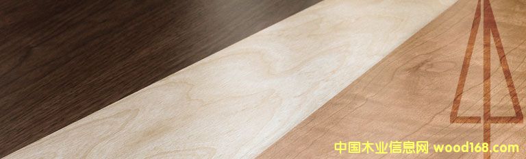 SֱNȫM(jn)a(chn)ľذ