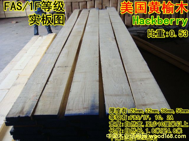 美國黃榆木的詳細(xì)介紹