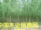 ï(gu) _(gu) (gu) l(f)