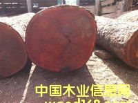 Kľ|u|Ƥɽ|ľ|S|MP(gun)